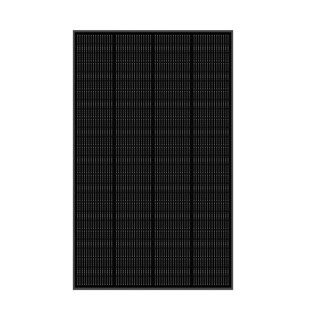 Sunshare Ray-200W-2 Solarmodul-Set - 01-product-image-gallery-Ray-200W-2.png