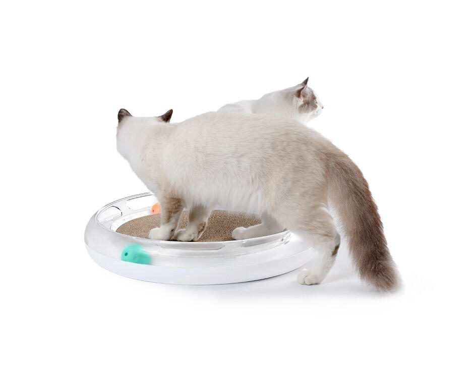PETKIT FUN 4-in-1 Kratzspielzeug für Katzen mit Kratzpappe, Ballbahn, Glockenball und Katzenminze-Ball - petkit-6931580101303-07.jpg