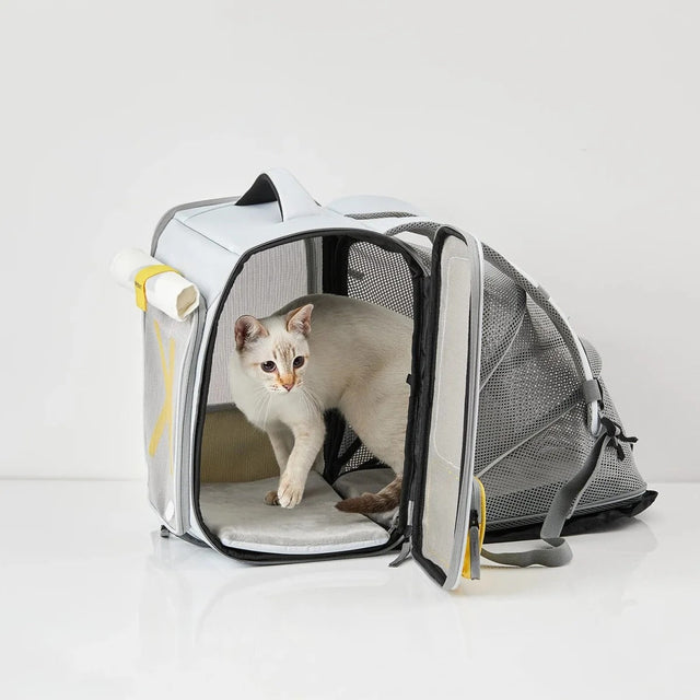 PETKIT Breezy xZone Katzenrucksack mit erweiterbarem Zeltbereich, faltbar, für Haustiere bis 6 kg, Grau - petkit-6973293802337-07.jpg