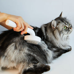PETKIT Grooming Brush 2 Fellbürste mit Haarauswurf-Taste für Katzen und Hunde, Unterwolle und Entfilzung, Weiß - petkit-6973293807905-05.jpg