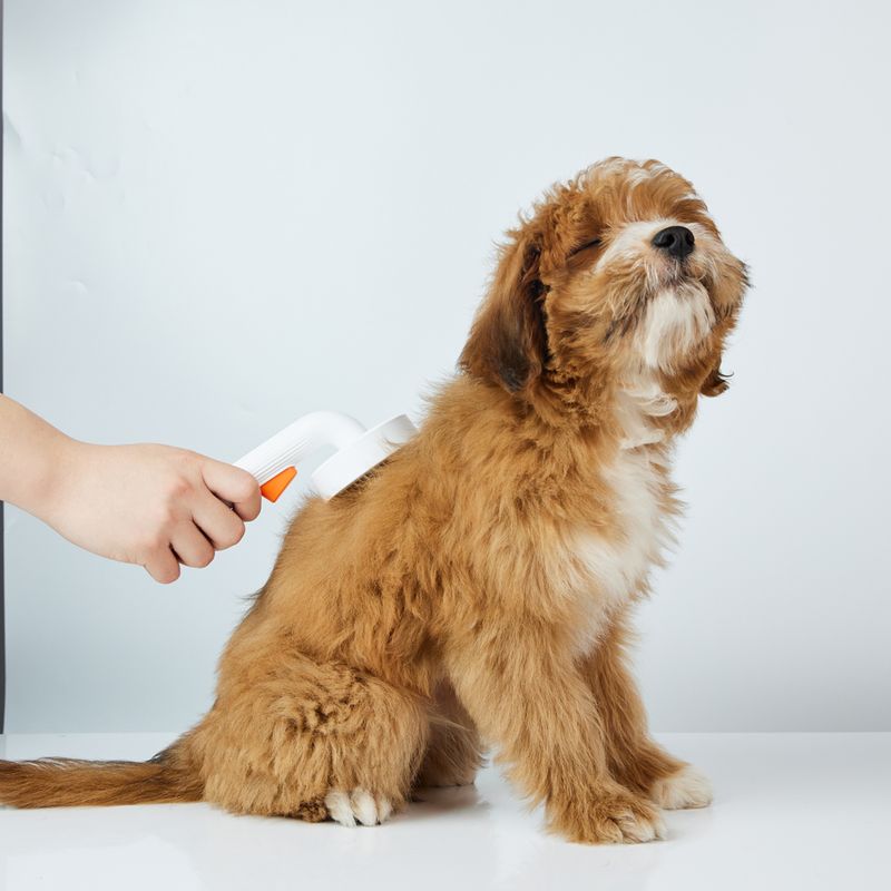 PETKIT Grooming Brush 2 Fellbürste mit Haarauswurf-Taste für Katzen und Hunde, Unterwolle und Entfilzung, Weiß - petkit-6973293807905-06.jpg