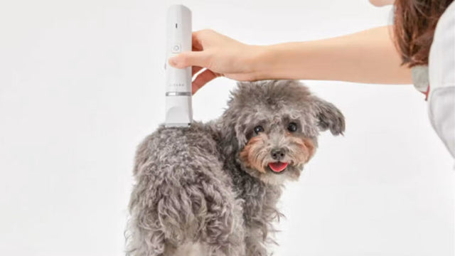 PETKIT 2-in-1 Trimmer Pro Schermaschine für Katzen und Hunde mit Körper- und Pfotentrimmer, Akku, wasserdicht, Weiß - petkit-6973293809190-06.jpg