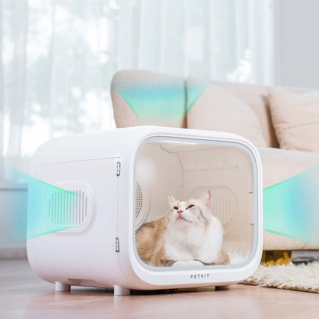 PETKIT AirSalon Max Haustiertrockner Box 60 L, 360°-Trocknung, leise ≤ 42 dB, Negativ-Ionen, App-Steuerung, Weiß - petkit-6975069301389-03.jpg