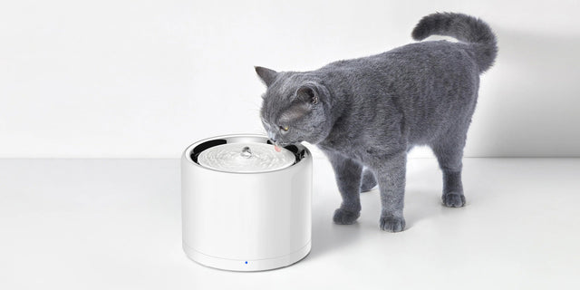 PETKIT EverSweet 3 Pro (UVC) Trinkbrunnen, kabellose UVC-Pumpe, 1,6 L, Edelstahl 304, App, weiß - petkit-6975069301891-07.jpg