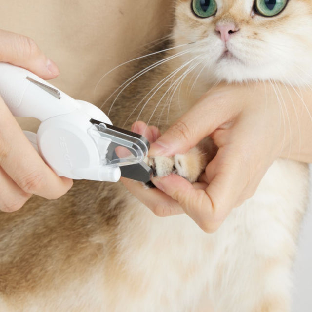 PETKIT LED Krallenschere Pro für Katzen und Hunde mit LED-Licht, Krallenauffangbehälter und Sicherheitsstopp, Weiß – Krallen schneiden bei der Katze