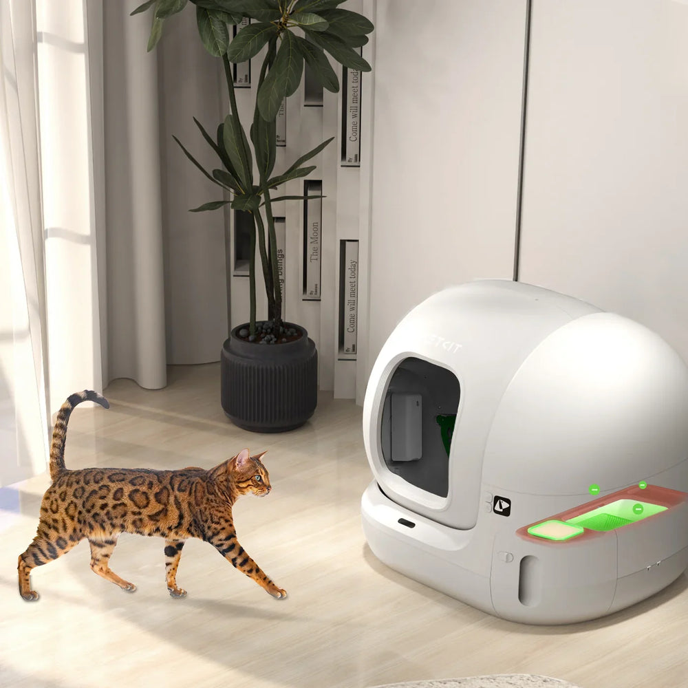 PETKIT N50 2.0 Geruchsentferner P9223 für Pura Max, Pura Max 2 und Purobot Max Pro, 3 Stück - petkit-6975069303956-09.webp