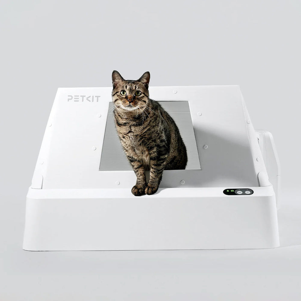 PETKIT Purobot Crystal Duo mit Vordereingang (Front-Entry Hood) selbstreinigende Katzentoilette mit KI-Kamera, Weiß - petkit-6975069308807-05.jpg