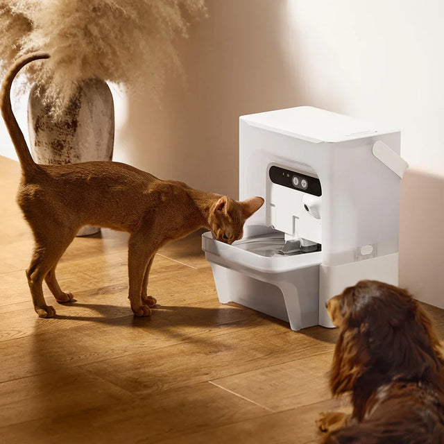 PETKIT Fountain Cube C, 5 Stück, Aktivkohle-Filterwürfel für EverSweet Ultra Trinkbrunnen - petkit-6975069309163-08.webp