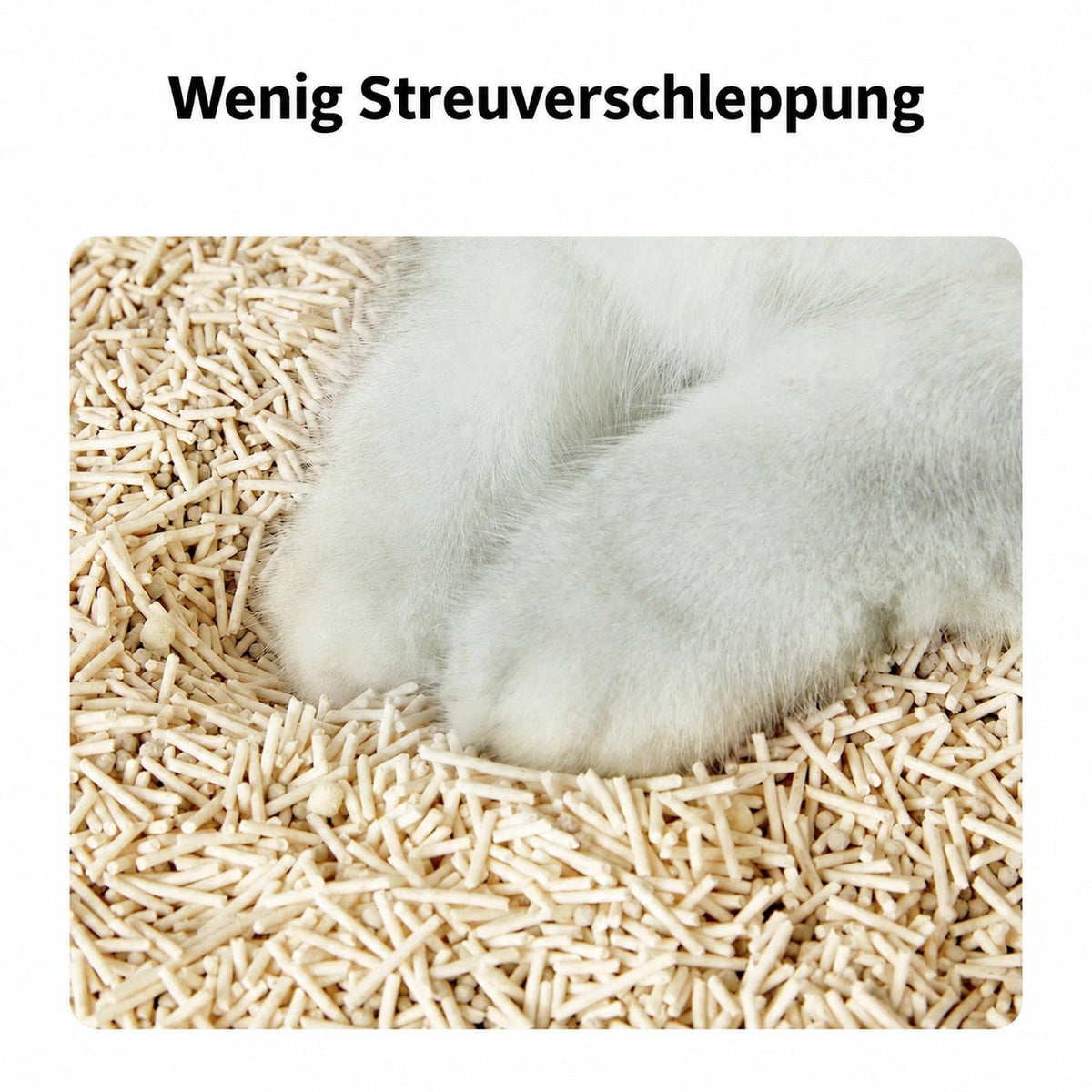 PETKIT Okkultblut-Test Katzenstreu aus Tofu und Bentonit mit Blut-Indikator, klumpend, staubarm, 4 Beutel à 2,4 kg - petkit-6975069303918-13.jpg
