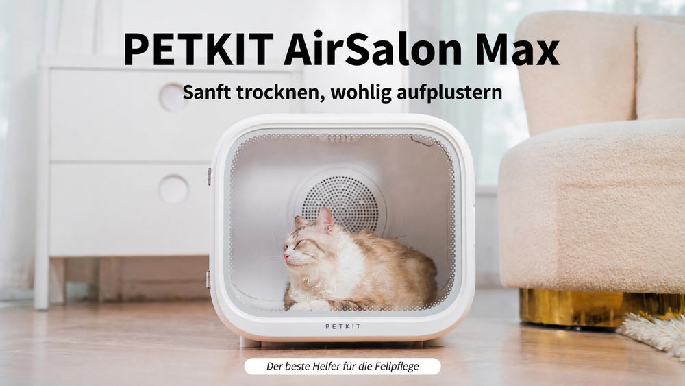 PETKIT AirSalon Max Haustiertrockner Box 60 L, 360°-Trocknung, leise ≤ 42 dB, Negativ-Ionen, App-Steuerung, Weiß - petkit-6975069301389-02.jpg