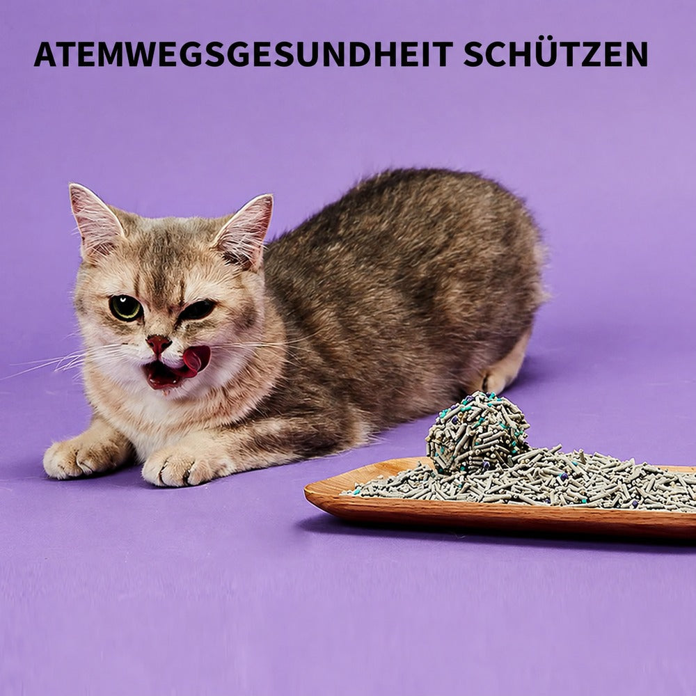 PETKIT 5-in-1 Katzenstreu PKCL04 Tofu und Bentonit mit Aktivkohle, klumpend, staubarm, 4 Beutel à 3,6 kg - petkit-6973293800647-11.jpg