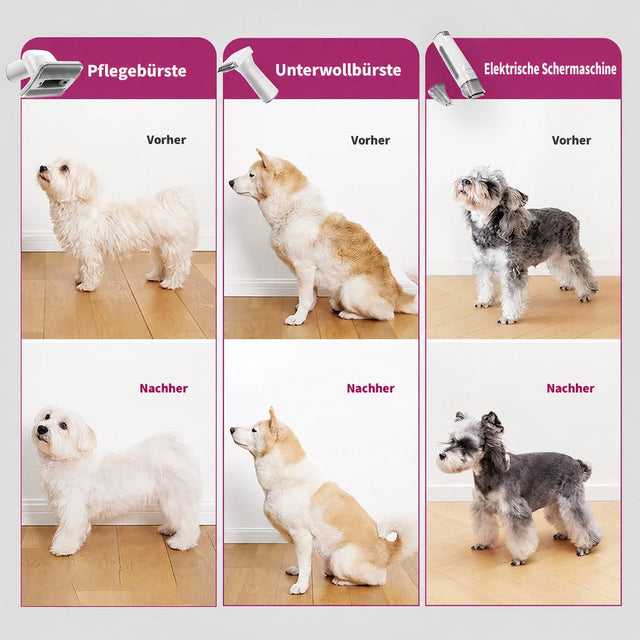 PETKIT AirClipper 5-in-1 Tierpflegeset mit Staubsauger, Akku-Schermaschine und HEPA-Filter für Katzen und Hunde - petkit-6975069301723-07.jpg