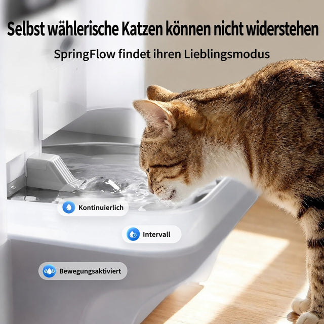 PETKIT EverSweet Ultra Trinkbrunnen mit KI-Kamera, 5 L Frischwassertank, WLAN, Selbstreinigung, weiß - petkit-6975069308517-03.jpg